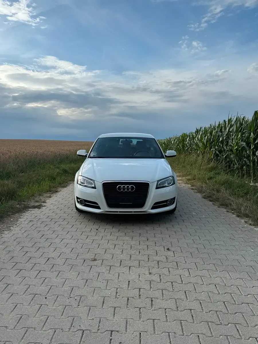 Gebraucht Audi A3 S-Line 140 PS (102 kW) 2011 Weiß Kleinwagen