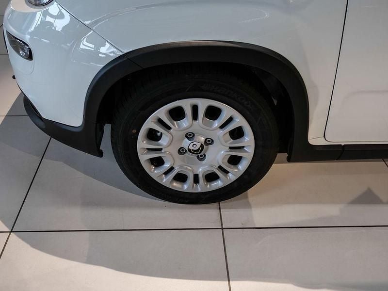 Neu Fiat Panda 69 PS (50 kW) 2025 Weiß Kleinwagen