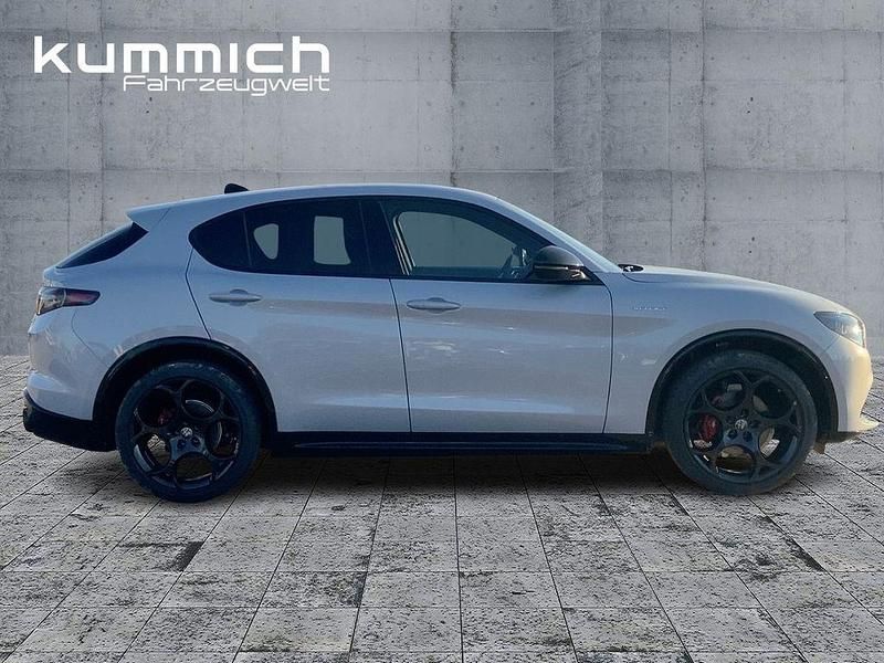 Neu Alfa Romeo Stelvio Veloce 209 PS (153 kW) 2025 Grau SUV