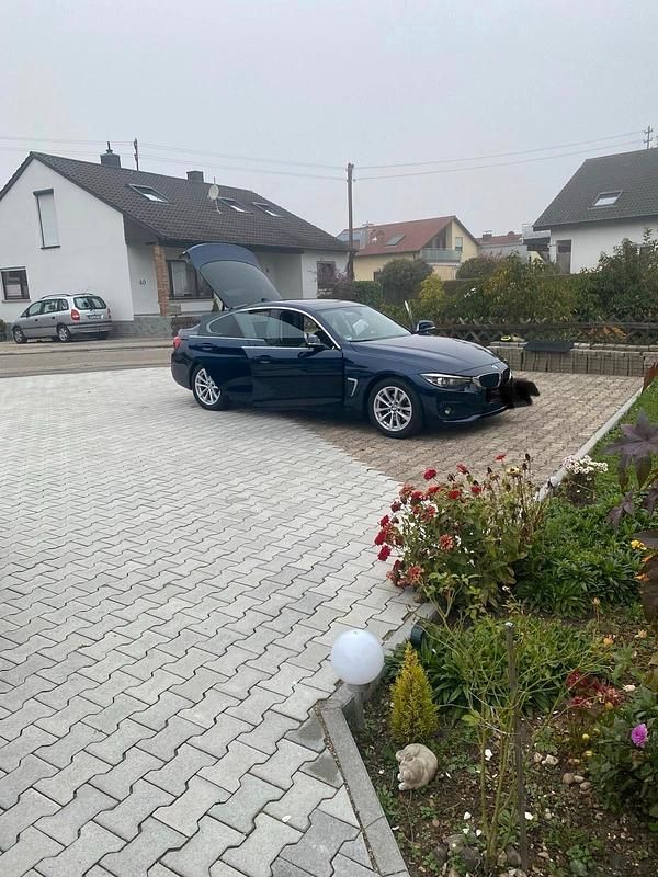 Gebraucht BMW 420 190 PS (139 kW) 2017 Blau Coupé