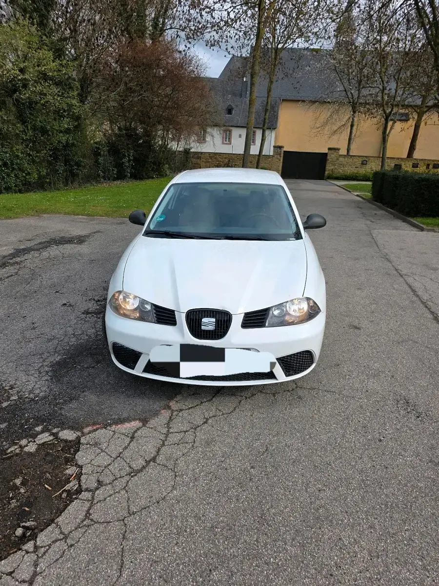Gebraucht Seat Ibiza Reference 75 PS (55 kW) 2009 Weiß Kleinwagen