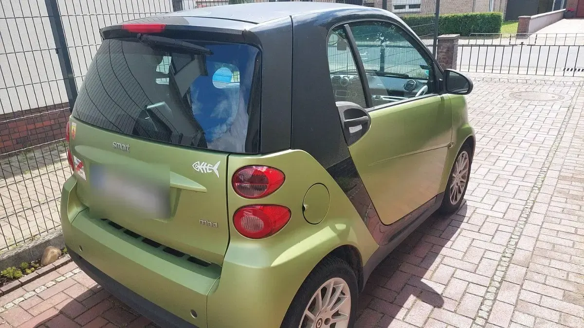 Gebraucht Smart ForTwo Coupé Pure 61 PS (44 kW) 2010 Grün Coupé