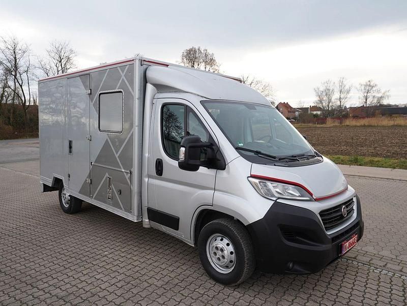 Grau Gebraucht 2019 Fiat Ducato Van | 14.990 € (Etwas zu teuer) - Bild 1/4