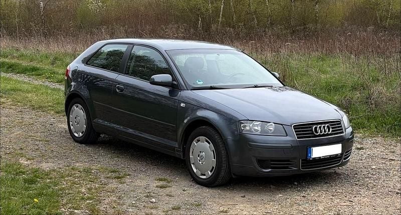 Gebraucht Audi A3 Ambiente 102 PS (75 kW) 2004 Grau Kleinwagen