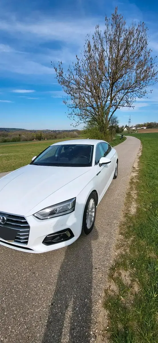 Gebraucht Audi A5 190 PS (139 kW) 2018 Weiß Coupé