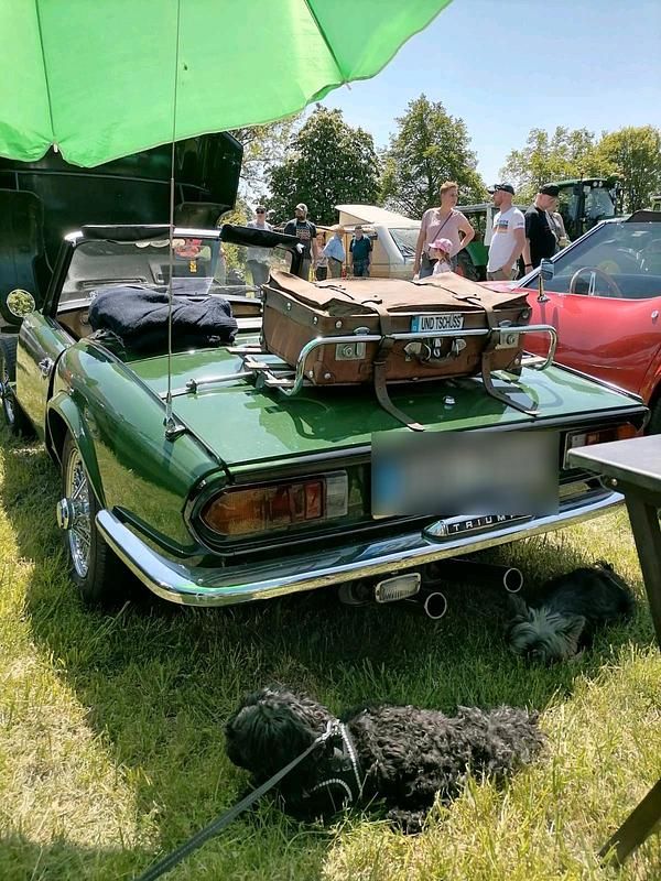 Gebraucht Triumph Spitfire 69 PS (50 kW) 1980 Grün Cabrio