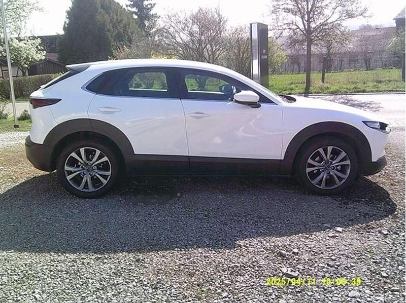 Gebraucht Mazda CX-30 Selection 186 PS (136 kW) 2023 Weiß SUV