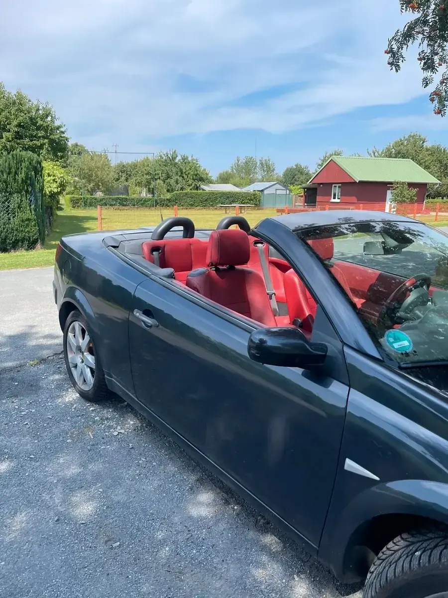 Gebraucht Renault Mégane Cabriolet 110 PS (80 kW) 2008 Grau Cabrio
