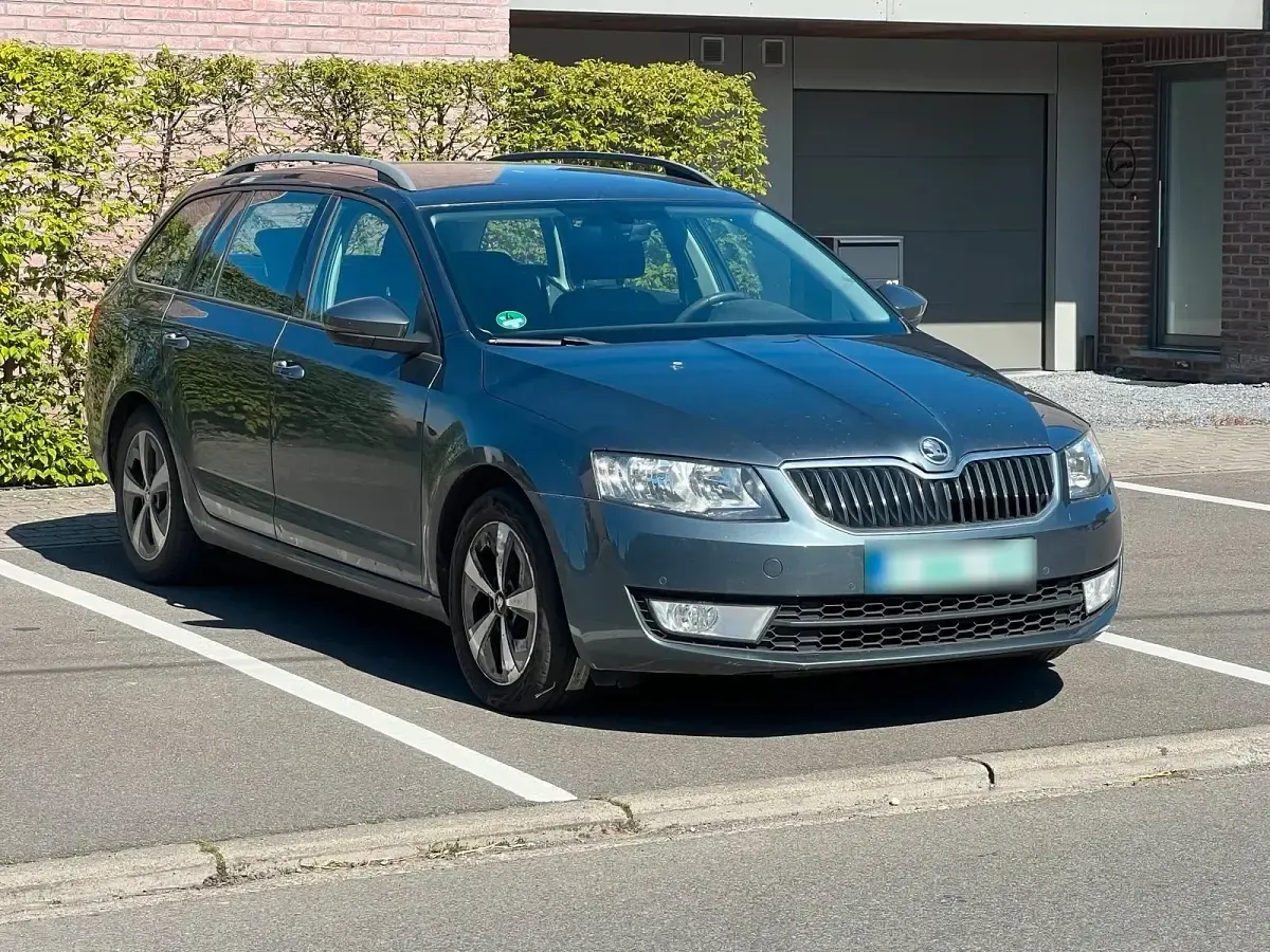 Usata Skoda Octavia GreenLine 105 CV (77 kW) 2017 Grigio Station wagon