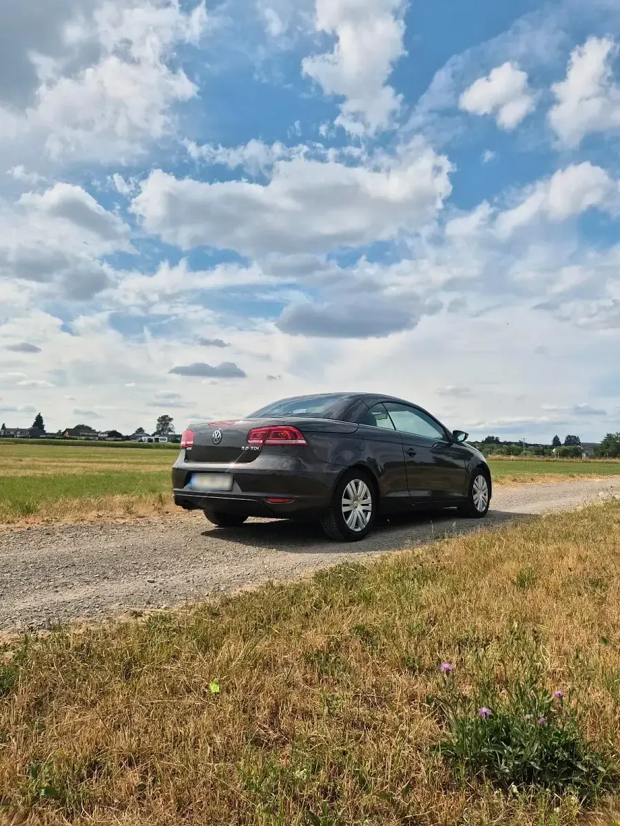 Gebraucht VW Eos 140 PS (102 kW) 2011 Braun Cabrio