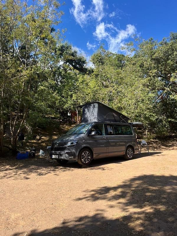 Gebraucht VW California Edition 150 PS (110 kW) 2020 Grau Van