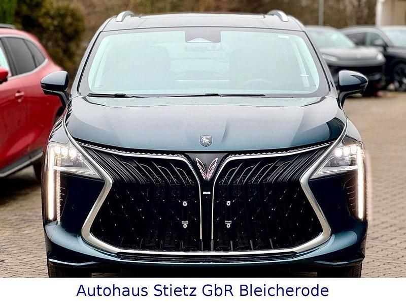 Neu DFSK Forthing 4 286 PS (210 kW) 2025 Grün Van / Kleinbus