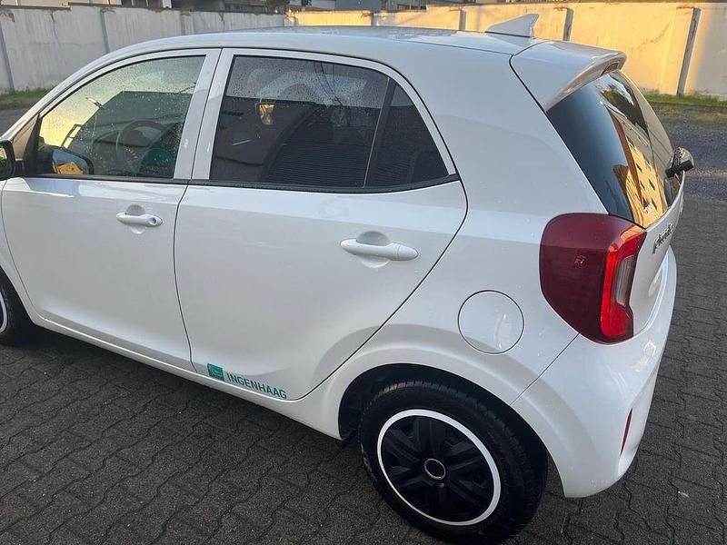 Gebraucht Kia Picanto Vision 67 PS (49 kW) 2024 Weiß Kleinwagen