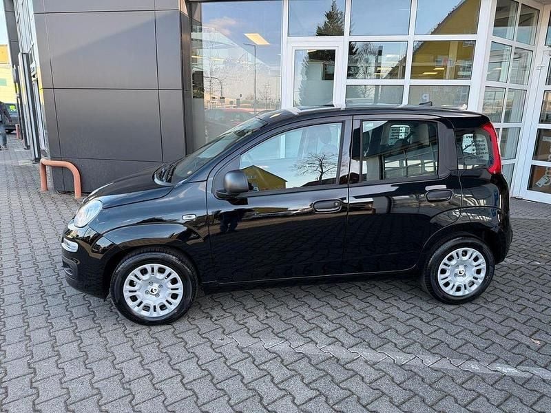 Neu Fiat Panda Icon 65 PS (47 kW) 2026 Schwarz Kleinwagen