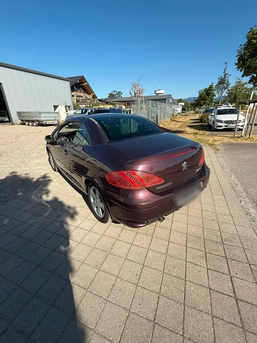 Gebraucht Peugeot 307 CC 136 PS (100 kW) 2004 Andere farben Cabrio