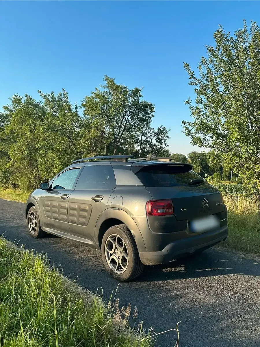 Gebraucht Citroën C4 Cactus 110 PS (80 kW) 2015 Grau Kleinwagen