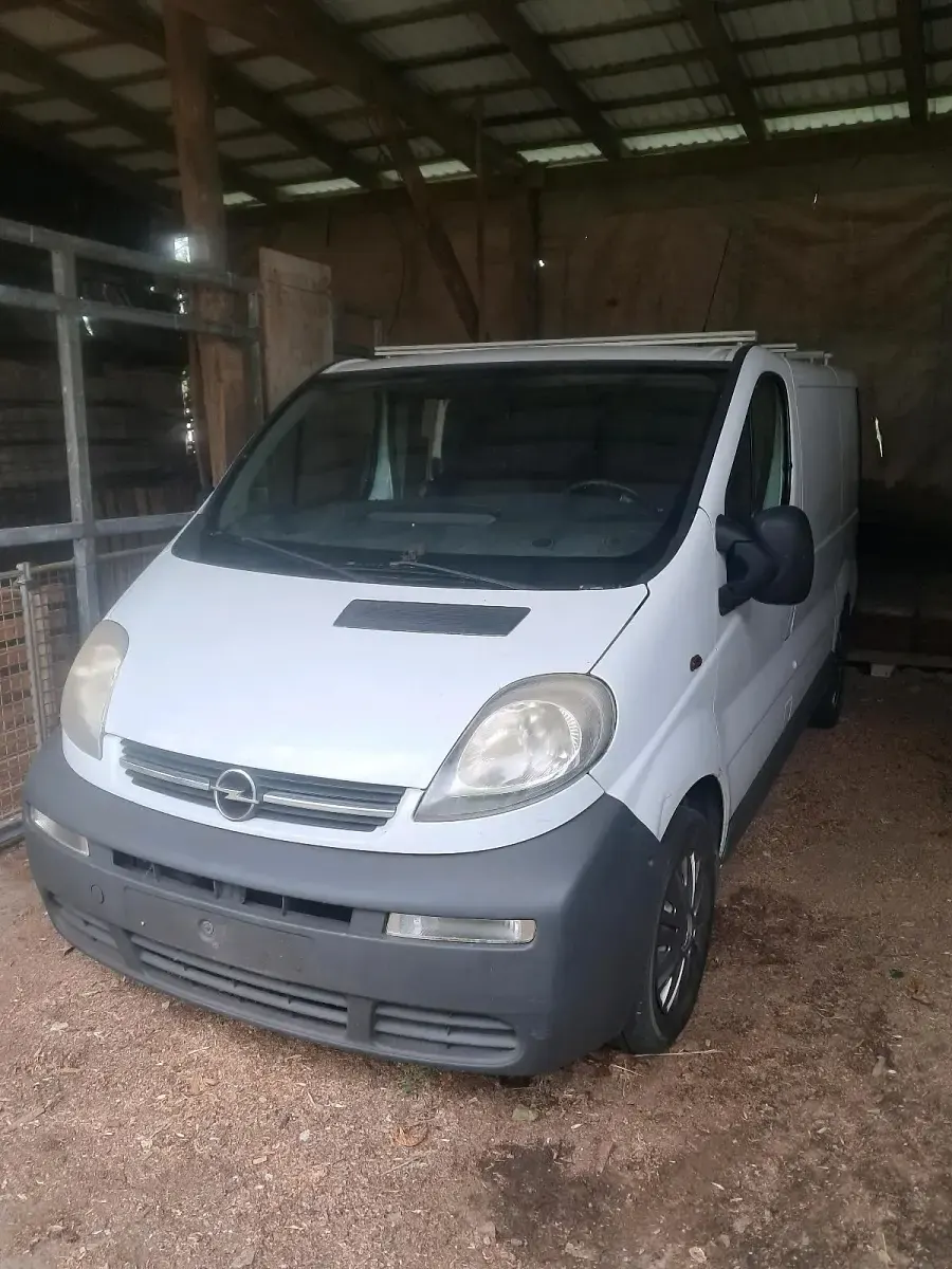 Gebraucht Opel Vivaro 101 PS (74 kW) 2004 Van / Kleinbus
