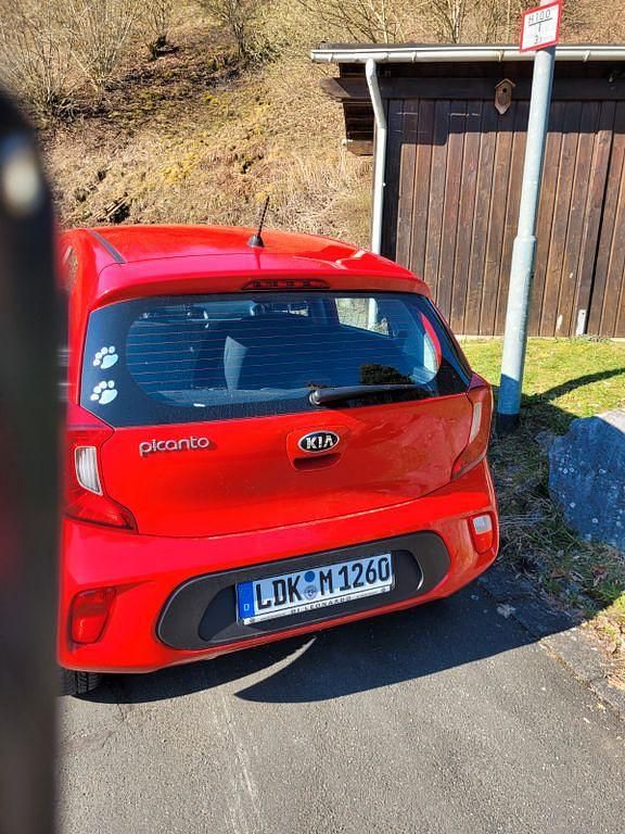 Gebraucht Kia Picanto 84 PS (61 kW) 2019 Rot Kleinwagen