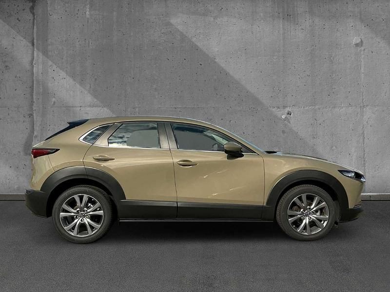 Gebraucht Mazda CX-30 Exclusive 122 PS (89 kW) 2024 Zircon sand SUV