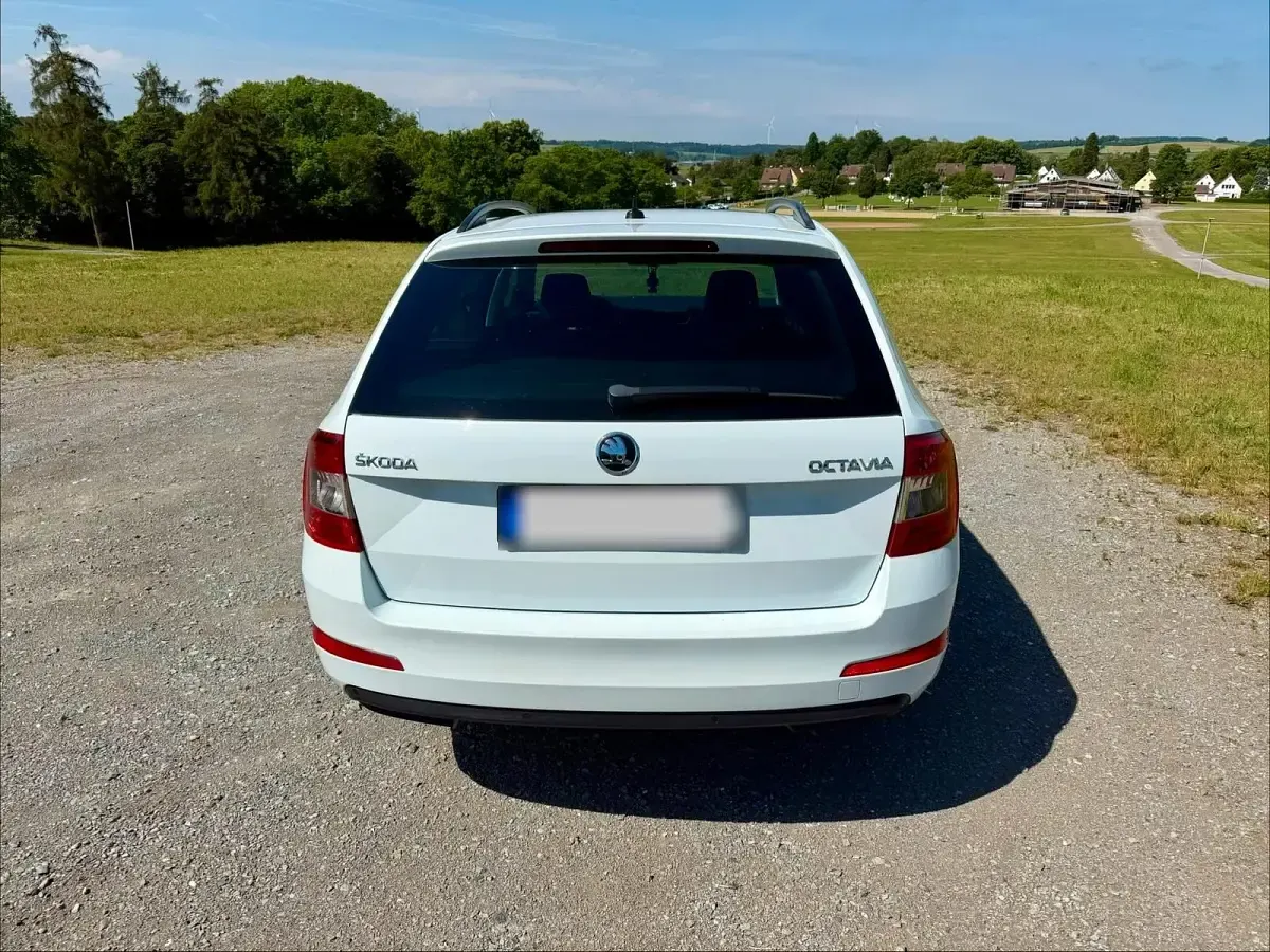 Gebraucht Skoda Octavia 110 PS (80 kW) 2015 Weiß Kombi