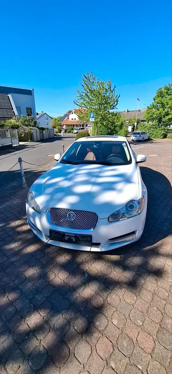 Gebraucht Jaguar XF Supercharged 416 PS (305 kW) 2008 Weiß Limousine
