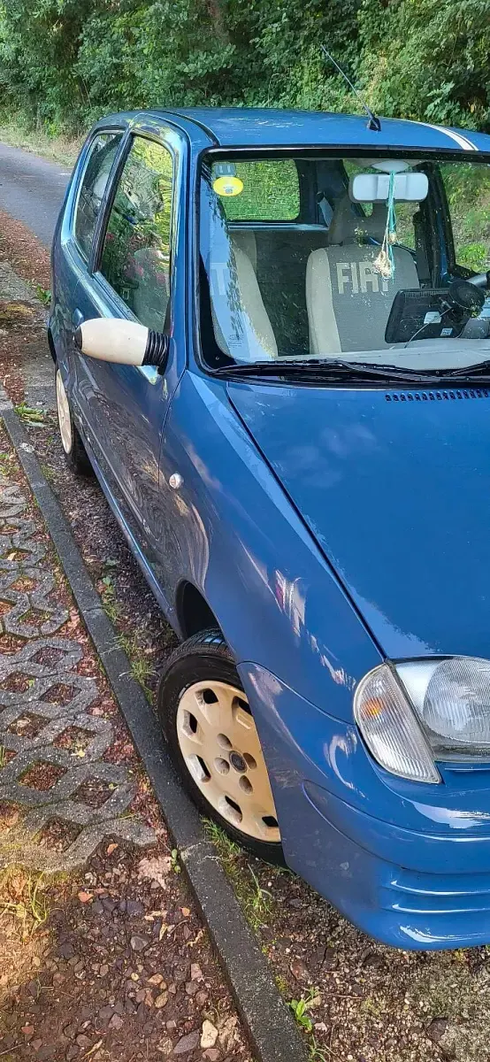 Gebraucht Fiat Seicento 54 PS (39 kW) 2005 Blau Kleinwagen