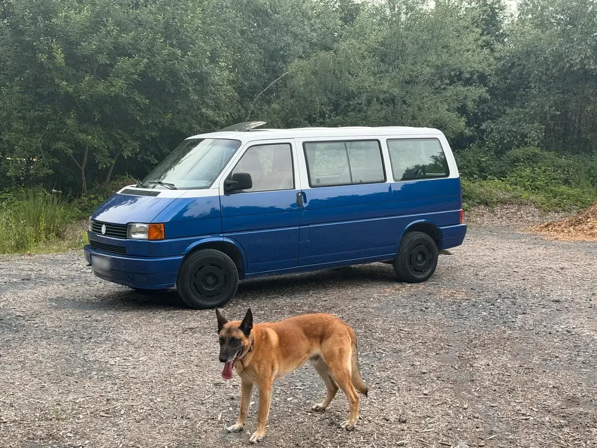 Gebraucht VW Multivan 68 PS (50 kW) 1993 Van / Kleinbus