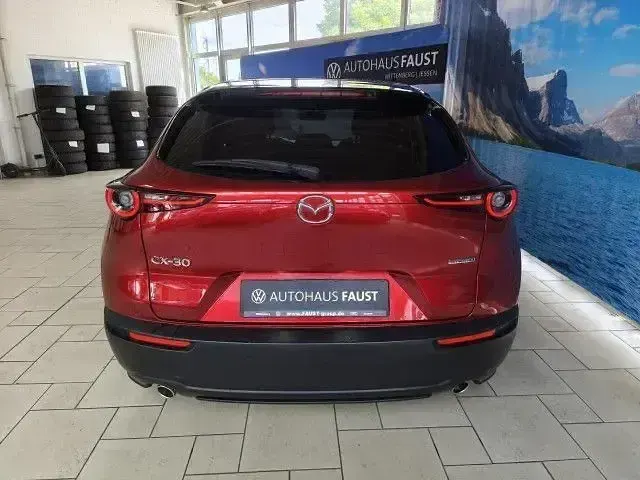 Gebraucht Mazda CX-30 Selection 116 PS (85 kW) 2019 Rot metallic SUV