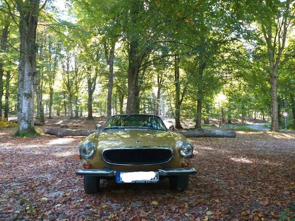 Gebraucht Volvo P1800 124 PS (91 kW) 1973 Gold Coupé