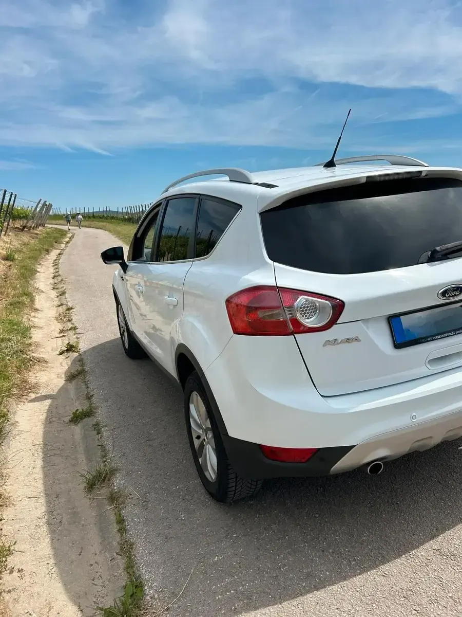 Gebraucht Ford Kuga Titanium 163 PS (119 kW) 2011 Weiß SUV