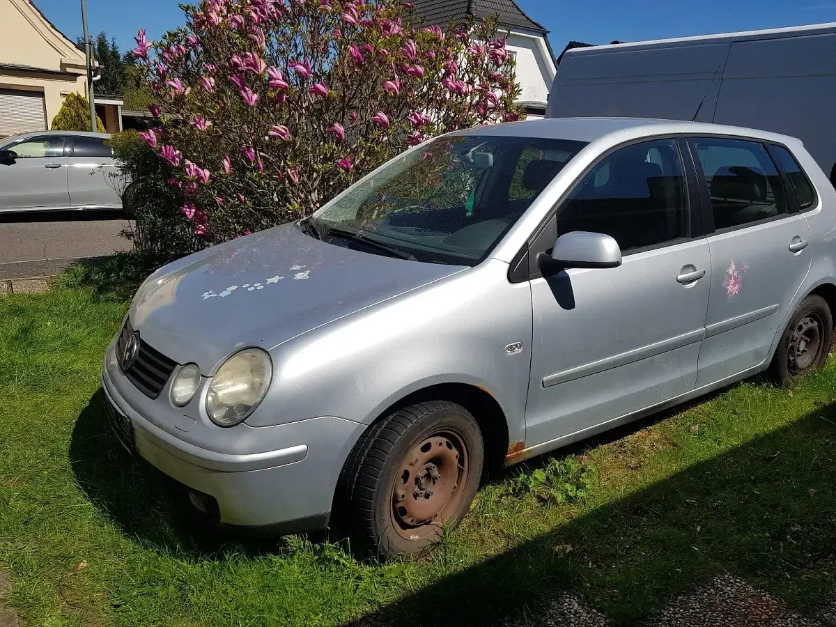 Usata VW Polo 109 CV (80 kW) 2003 Argento Utilitaria