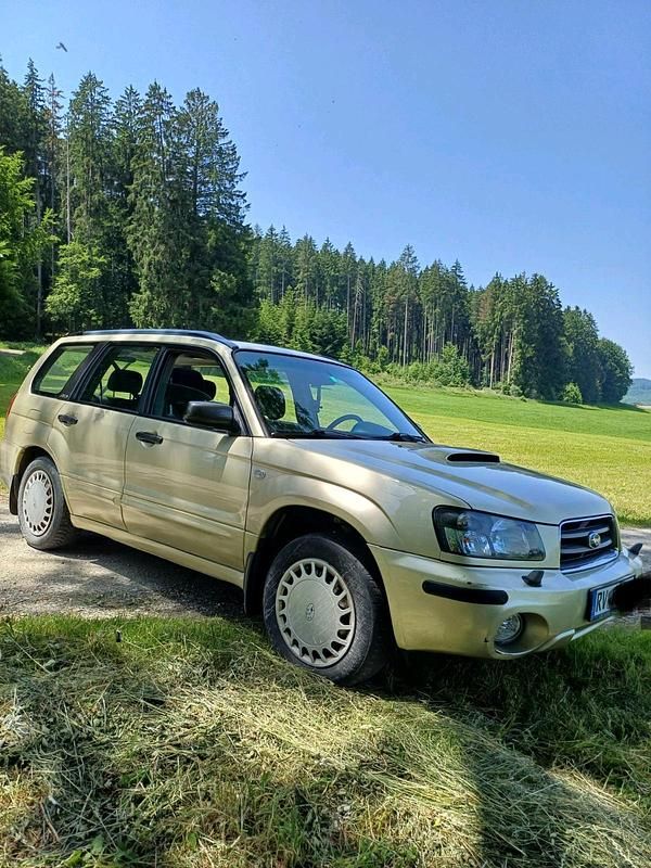 Gold Gebraucht 2003 Subaru Forester SUV | 1.600 € (Guter Preis) - Bild 1/4