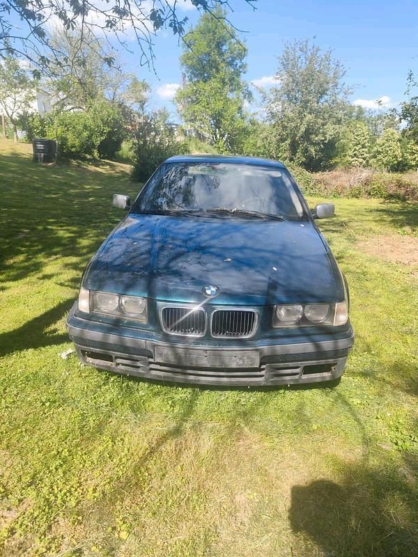 Grün Gebraucht 1997 BMW 316 Kleinwagen | 600 € - Bild 1/4