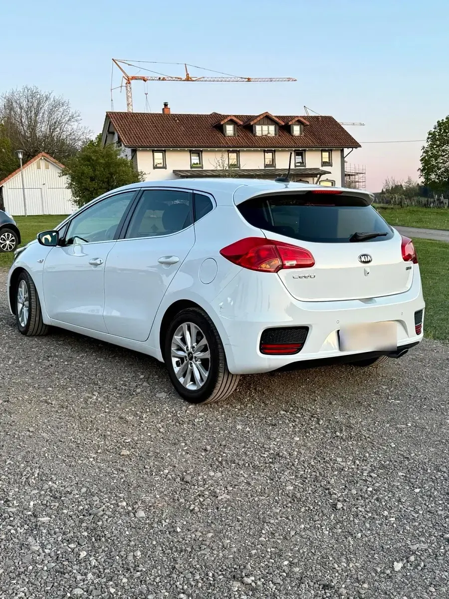 Gebraucht Kia Ceed 101 PS (74 kW) 2016 Weiß Kleinwagen