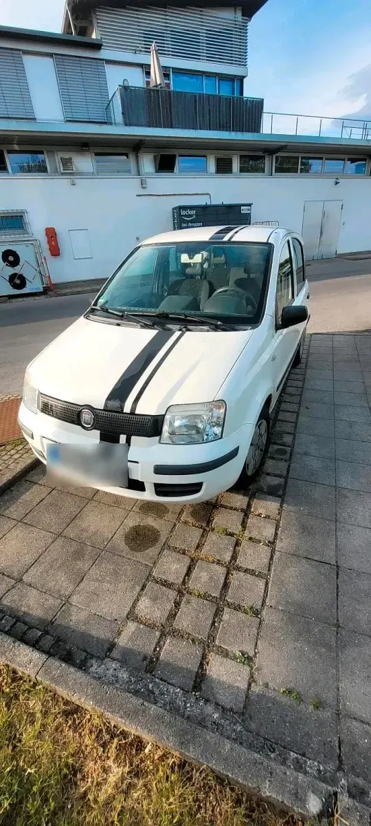 Gebraucht Fiat Panda 54 PS (39 kW) 2009 Weiß Kleinwagen