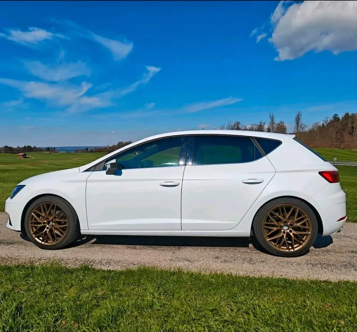Gebraucht Seat Leon XCELLENCE 131 PS (96 kW) 2019 Weiß Limousine