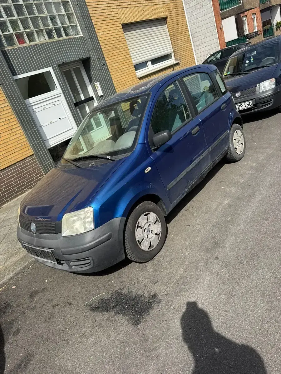 Usata Fiat Panda 54 CV (39 kW) 2004 Blu Utilitaria