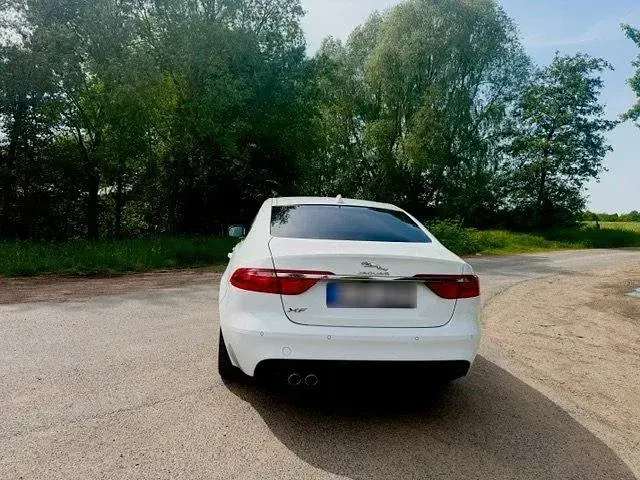Gebraucht Jaguar XF 180 PS (132 kW) 2017 Weiß Limousine