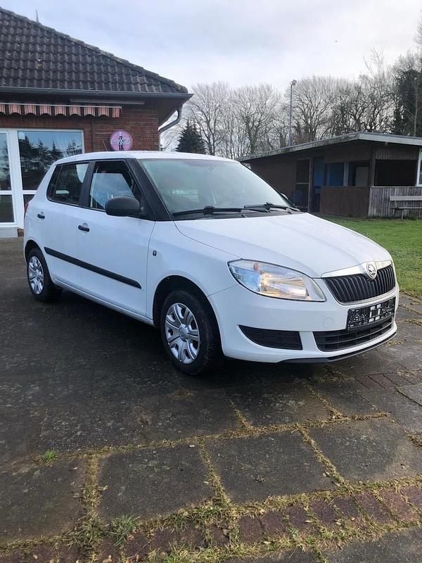 Second-hand Skoda Fabia 60 CP (44 kW) 2013 Alb Hatchback