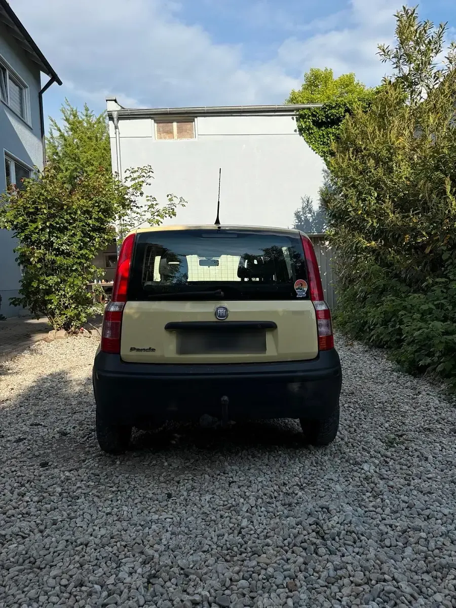 Używany Fiat Panda 54 KM (39 kW) 2010 Żółty Hatchback