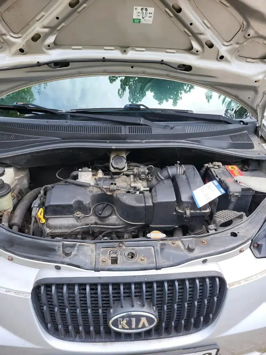 Gebraucht Kia Picanto 65 PS (47 kW) 2007 Grün Kleinwagen