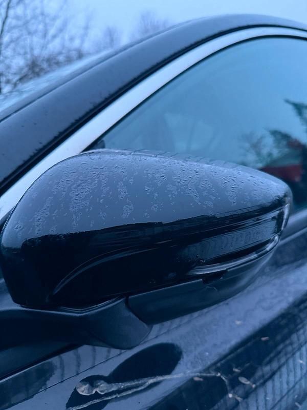 Gebraucht Ford Focus 125 PS (91 kW) 2019 Schwarz Limousine