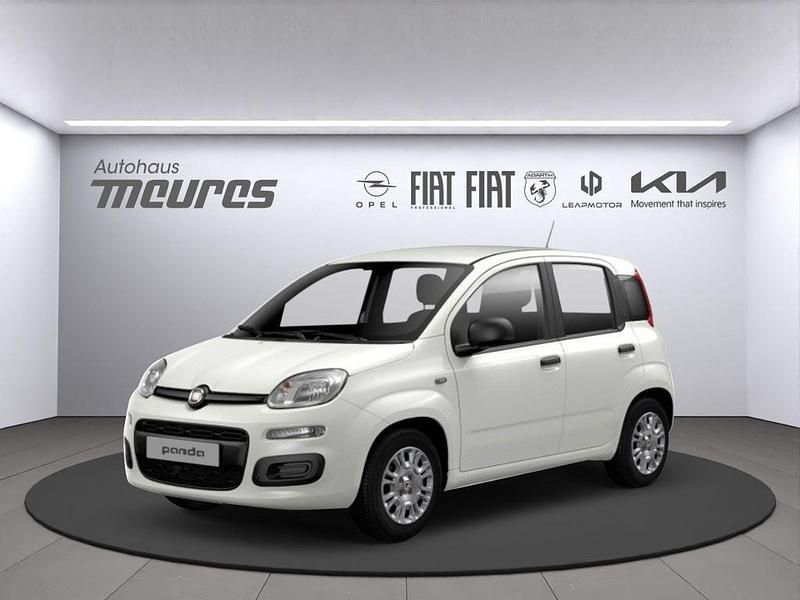 Weiss Neu 2025 Fiat Panda Kleinwagen | 13.450 € (Guter Preis) - Bild 1/2
