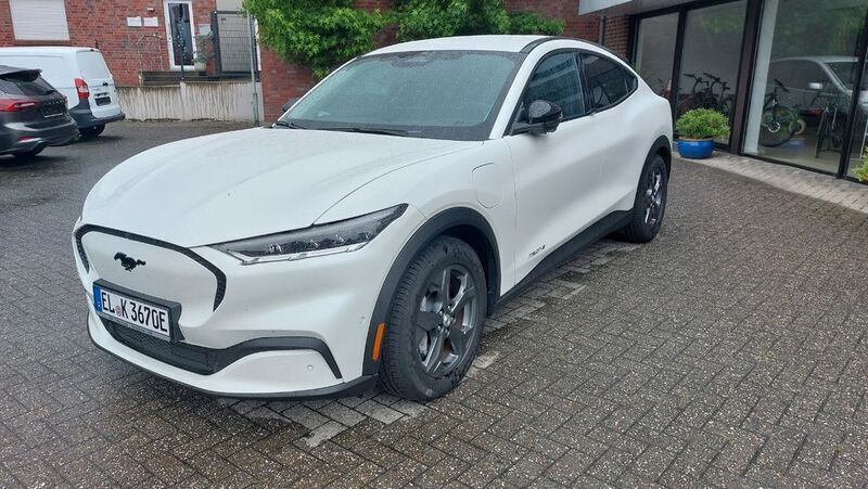 Gebraucht Ford Mustang Mach-E Basis 197 kW (269 PS) 2023 Starweiß metallic SUV