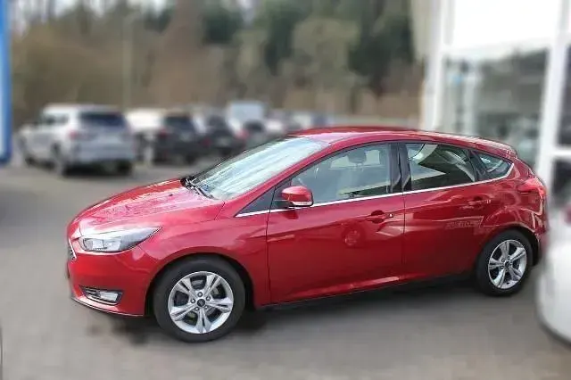 Usata Ford Focus Sport 125 CV (91 kW) 2015 Rosso