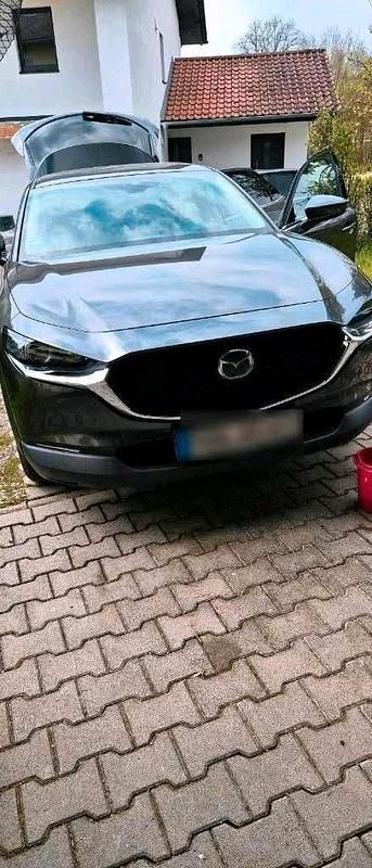 Gebraucht Mazda CX-30 Selection 150 PS (110 kW) 2020 Grau SUV
