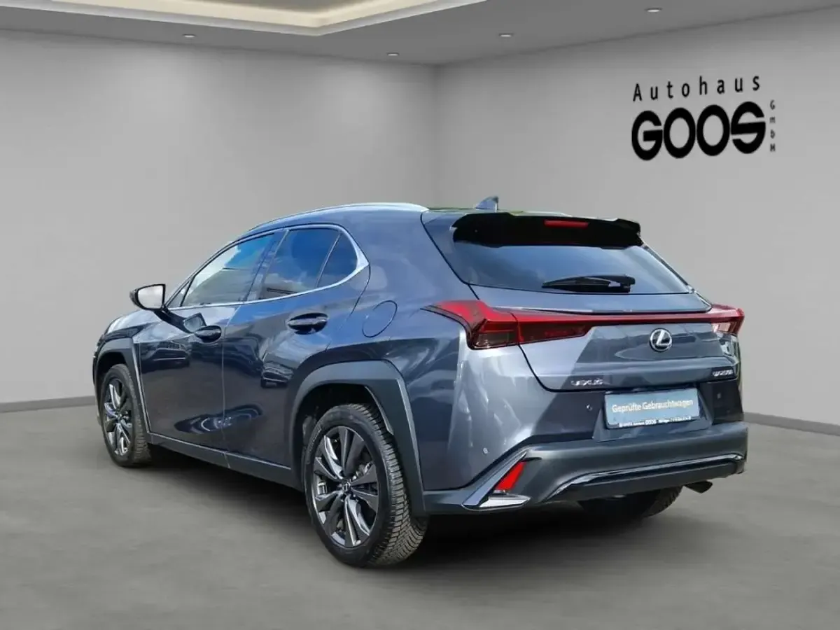 Gebraucht Lexus UX 250h 184 PS (135 kW) 2024 Grau SUV