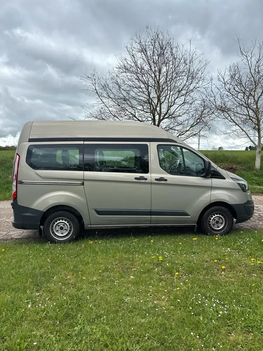 Usata Ford Transit 120 CV (88 kW) 2014 Beige Monovolume