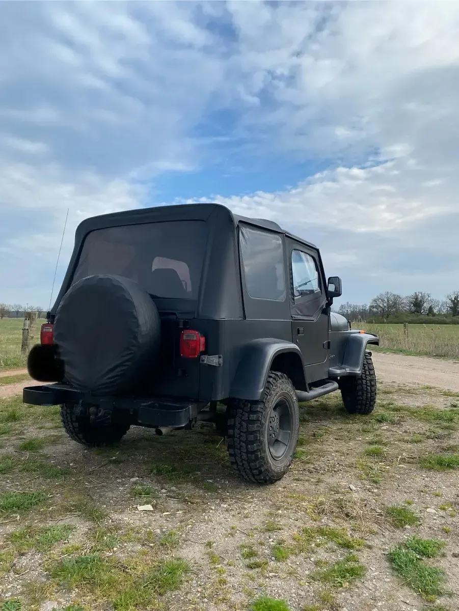 Gebraucht Jeep Wrangler 123 PS (90 kW) 1992 Schwarz SUV