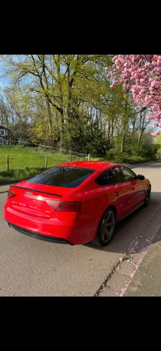 Gebraucht Audi A5 Comfort 245 PS (180 kW) 2016 Rot Coupé